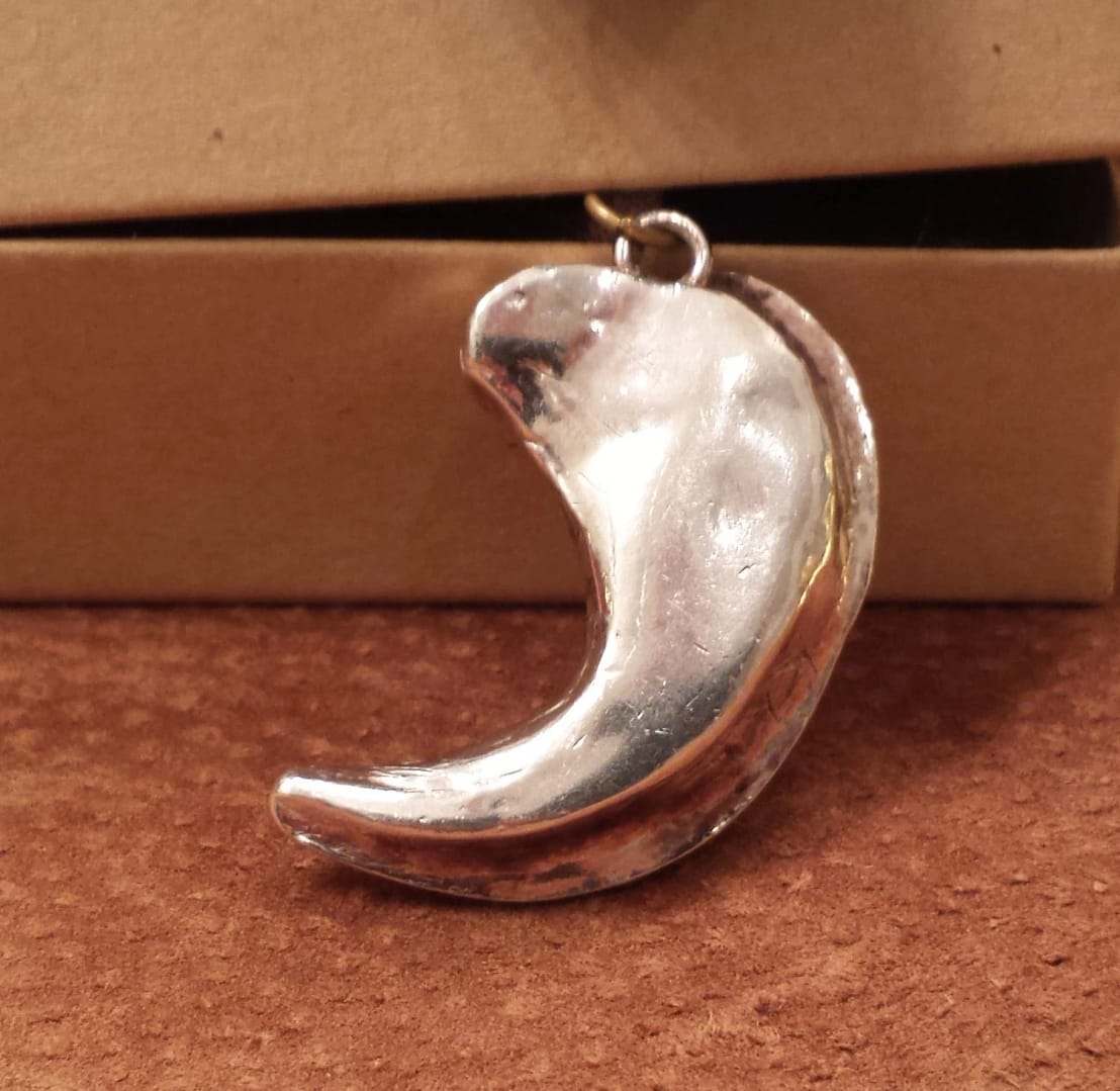 Sadie Lion Claw Silver Pendant - Image 3