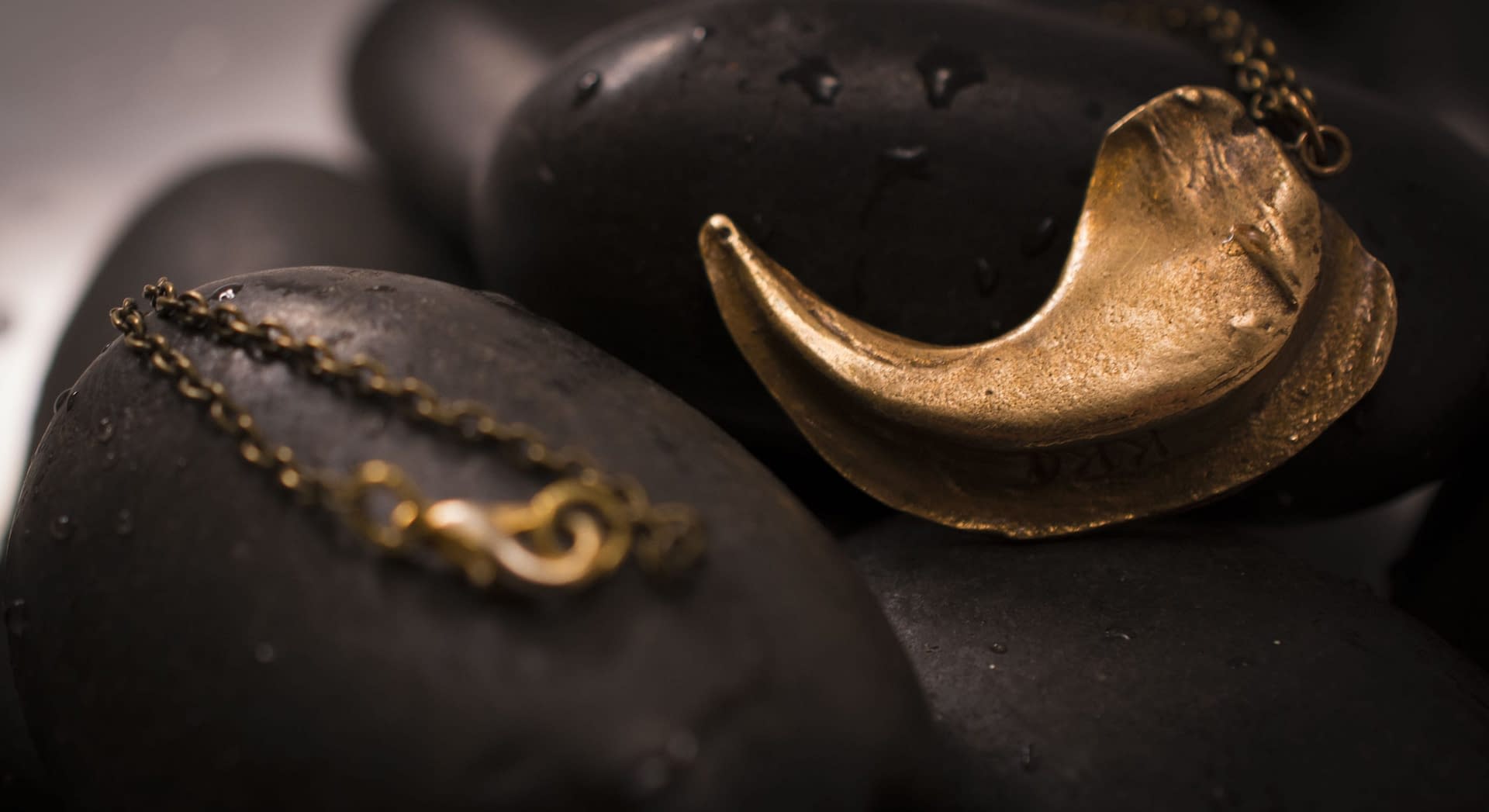 Sadie Lion Claw Bronze Pendant - Image 2