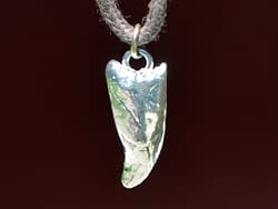 Silver Mixed Pride Cub Canine Pendant