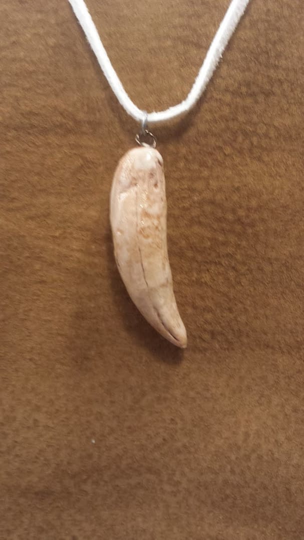 Polymer Taz Eurasian Lynx Canine Pendant