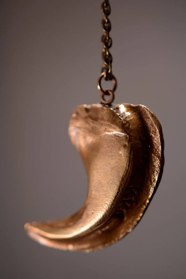 Sadie Lion Claw Bronze Pendant - Image 5