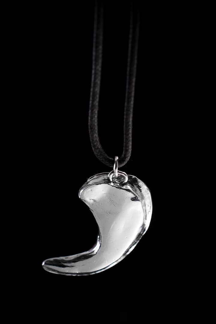 Sadie Lion Claw Silver Pendant - Image 2